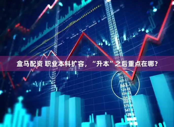 盒马配资 职业本科扩容，“升本”之后重点在哪？